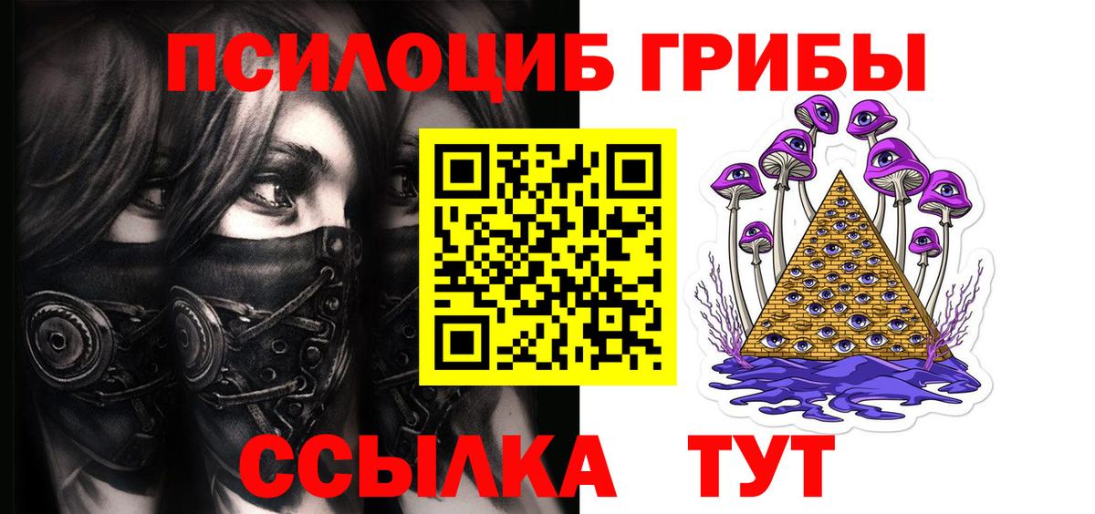 Галлюциногенные грибы Psilocybine cubensis Сургут