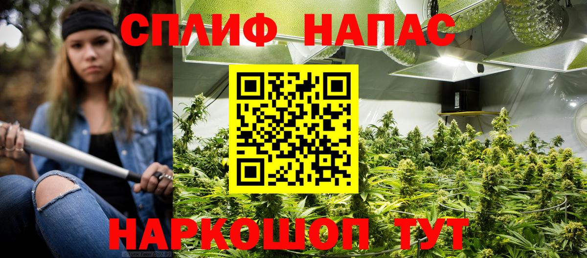 Канабис индика Сургут